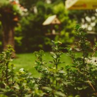 martin-knize-JjT_7MwREm4-unsplash martin-knize-JjT_7MwREm4-unsplash